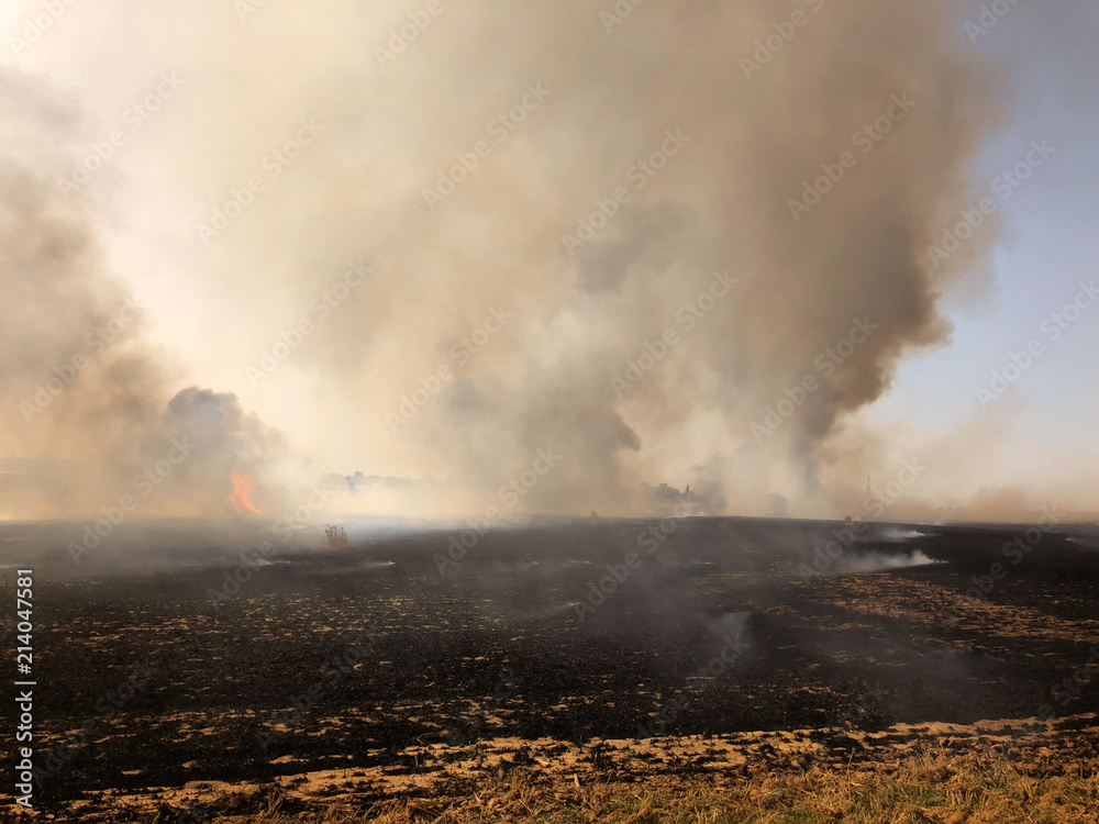 Fires in Israel that caused from burning kites and balloons that sent from the Gaza strip to Israel by the terror organisation 