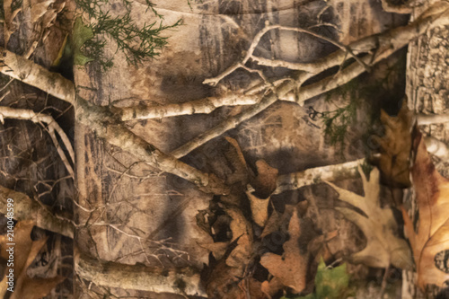 A Woodland Camouflage Pattern photo