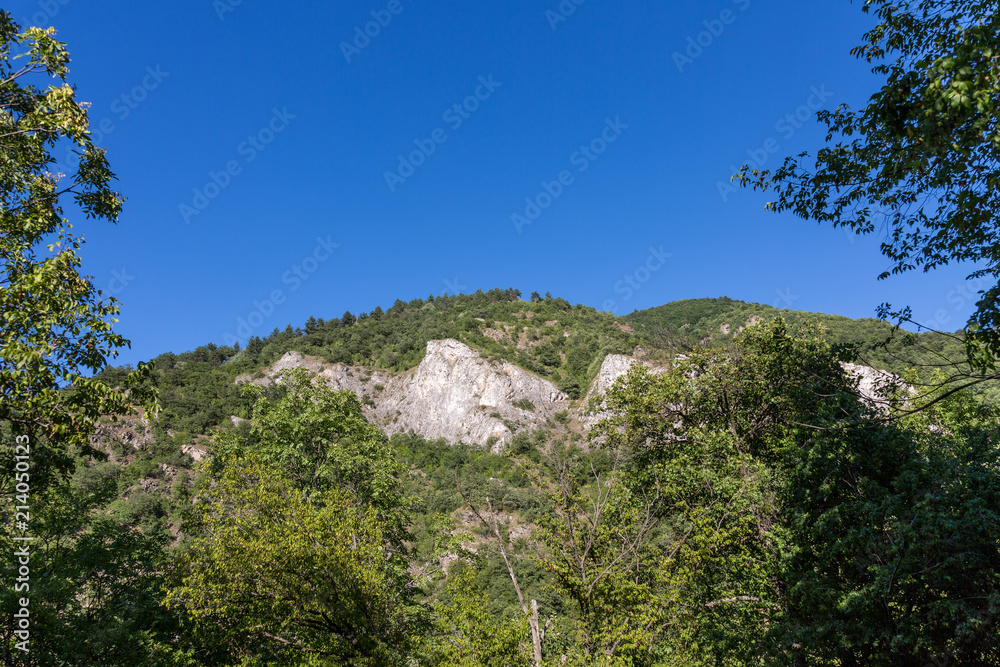 Hill Hill