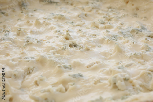 close up on gorgonzola cheese photo