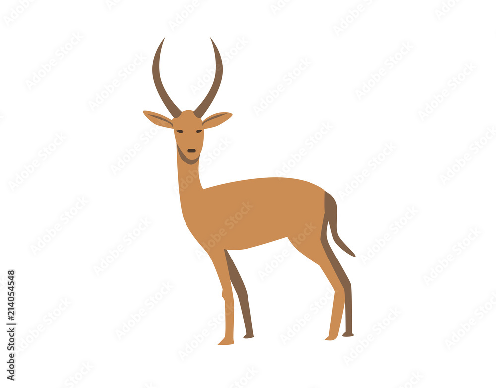 Fototapeta premium Gazelle. Flat vector illustration. Isolated on white background