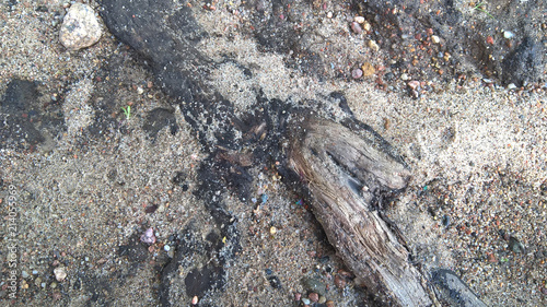 Minsk  Belarus  07 15 2018 Fragment of soil with sand and stones of gray-beige color