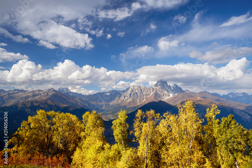 Autumn Landscape with birch forest and mountain peak Ushba photo