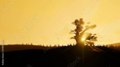 African Baobab and Birds flying against beautiful morning Sun, 4K