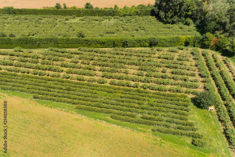 Luftbild Landwirtschaft im Rhonetal