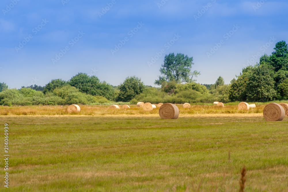 Round bales of straw lying in the field just after pressing in Germany