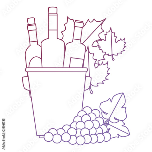 wine bottles in bucket with leafs and grapes