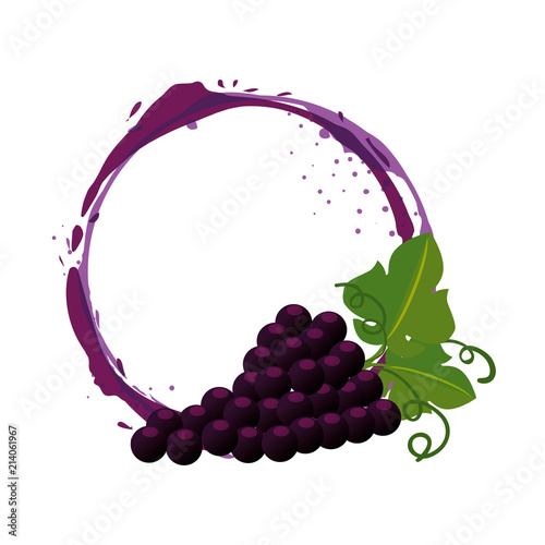 grapes cluster isolated icon