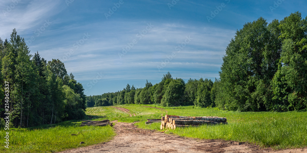 summer countryside. trunks of cut trees near a road on a field between forests