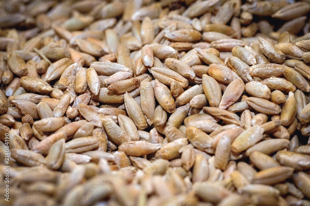 Obraz premium Close up on a pile of rye grains