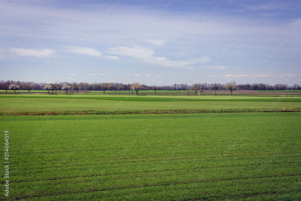 Green fields near Schloss Hof castle in Austria