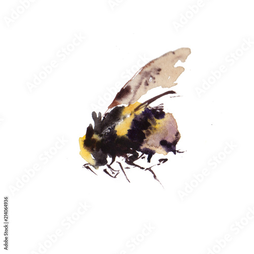 Watercolor bees isolated on white background. hand drawn watercolor illustration photo