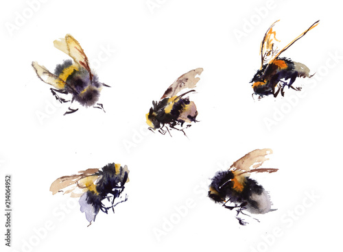 Collection Watercolor bees isolated on white background. hand drawn watercolor illustration