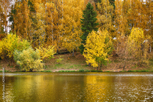 Wallpaper Mural Landscape. Beautiful golden autumn in the park Torontodigital.ca