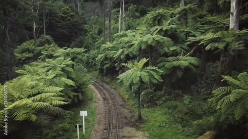 Flying above the Puffing Billy train line in Melbourne Australia