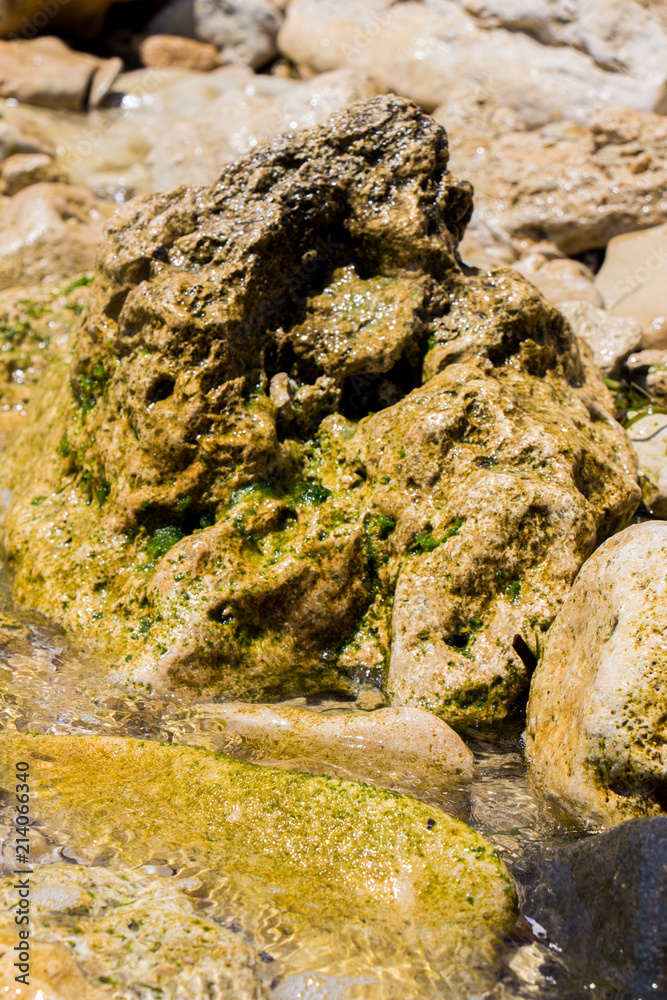The surface of an old rock with cracks. Old rock texture (wild background) The surface of an old rock with cracks. Old rock texture (wild background)