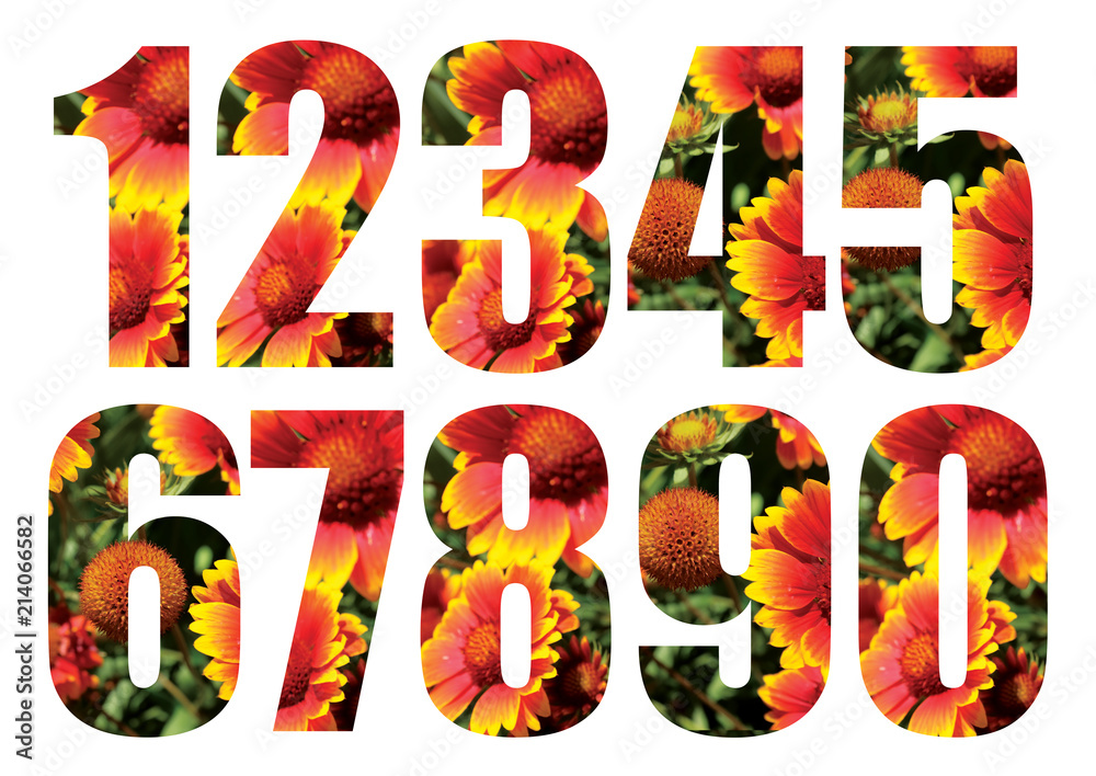 Figures from 1 to 9 with print. With the image of orange flowers. Figures from 1 to 9 with print. With the image of orange flowers.