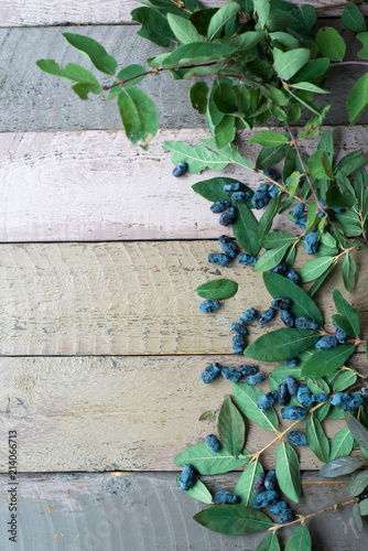 Honeysuckle berry with green leaves on a wooden table photo