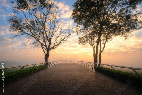 Beautiful sunrise at Singha Park morning view point in mist at Chiang Rai, Thailand. Singha park is the most popular tourist attraction in Chiangrai