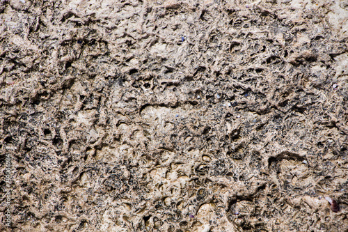 The surface of an old rock with cracks. Old rock texture  wild background 