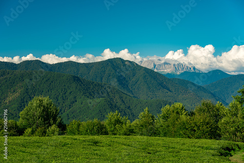 Evening in the mountains. Trees and meadow in the background of high rocky mountains.