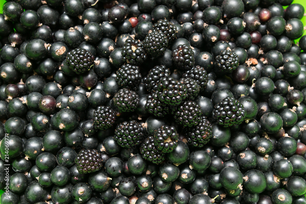 currants and blackberries as a background currants and blackberries as a background