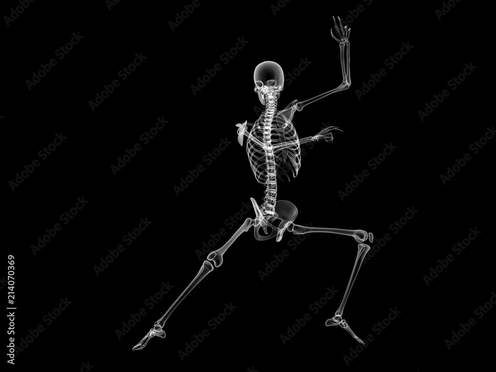 X RAY SKELETON 3D RENDER X RAY SKELETON 3D RENDER
