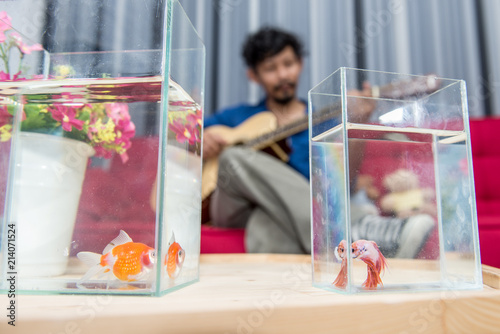 The guy playing guitar in his free time for his fish. Relax time with his beloved fish and guitar