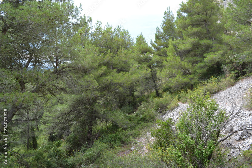 Obraz premium Mediterranean