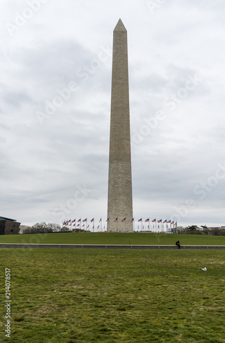 Washington Monument surrounded by blossoming almond trees 