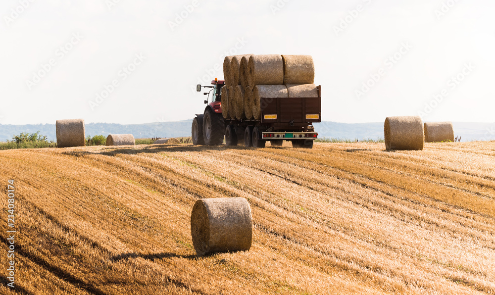 Obraz premium A tractor collecting straw bales