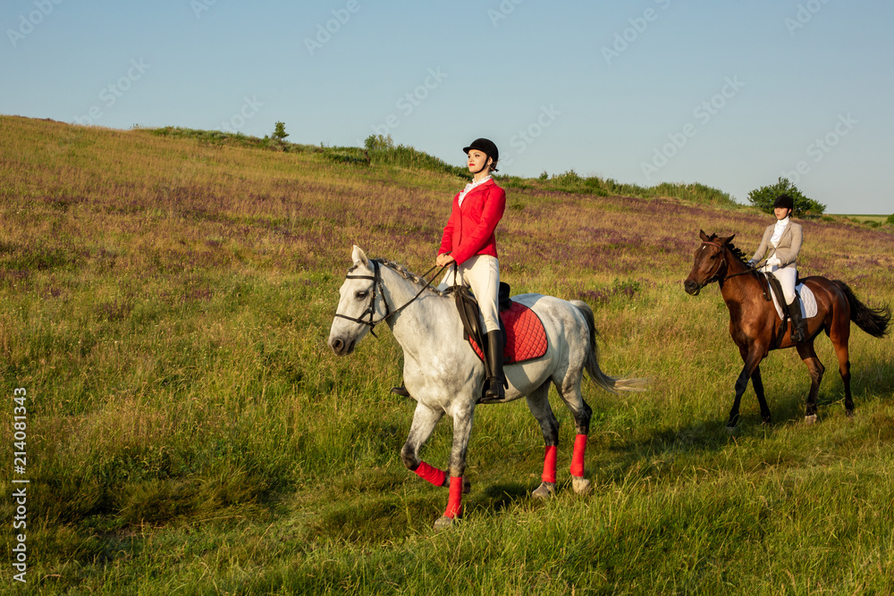 Horseback riders. Two attractive women ride horses on a green meadow Horseback riders. Two attractive women ride horses on a green meadow