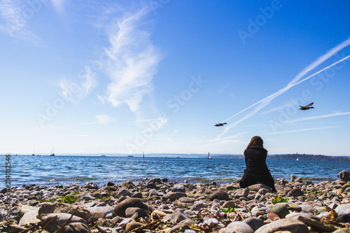 Fliegende Gänse am Bodensee