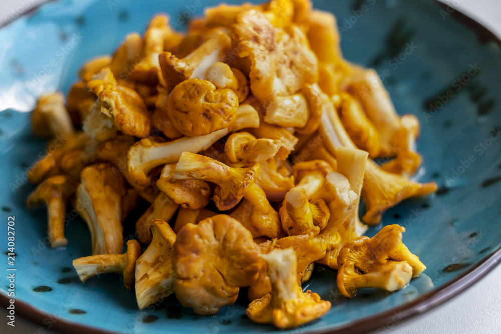 Fresh washed and cleaned chanterelle in a blue bowl closeup