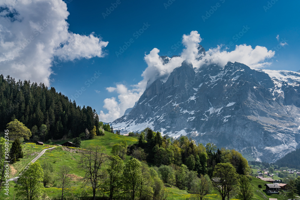 Obraz premium Switzerland, view from First to Wetterhorn