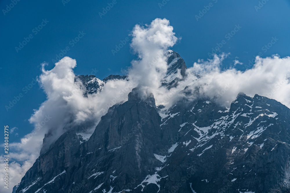 Switzerland, view from First to Wetterhorn