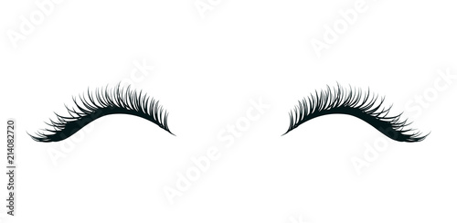 Eyelashes extension, beautiful make up, black artificial lashes isolated on white background. Hand drawn fashion element. Vector illustration.