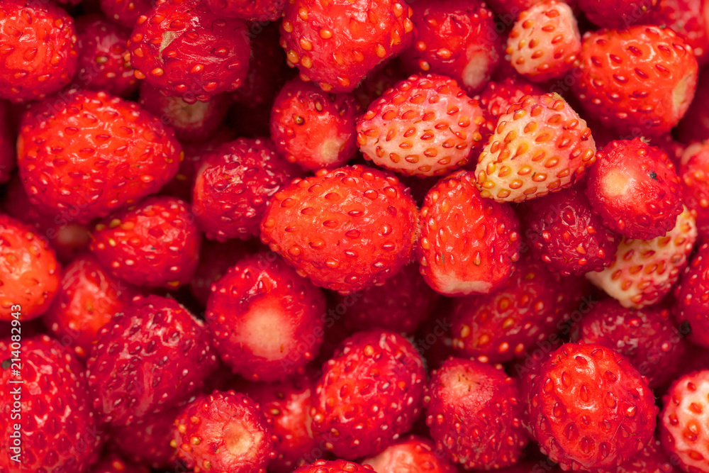 Red ripe strawberry from the forest as a background Red ripe strawberry from the forest as a background