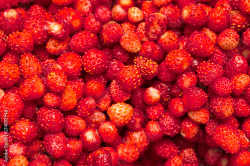 Red ripe strawberry from the forest as a background