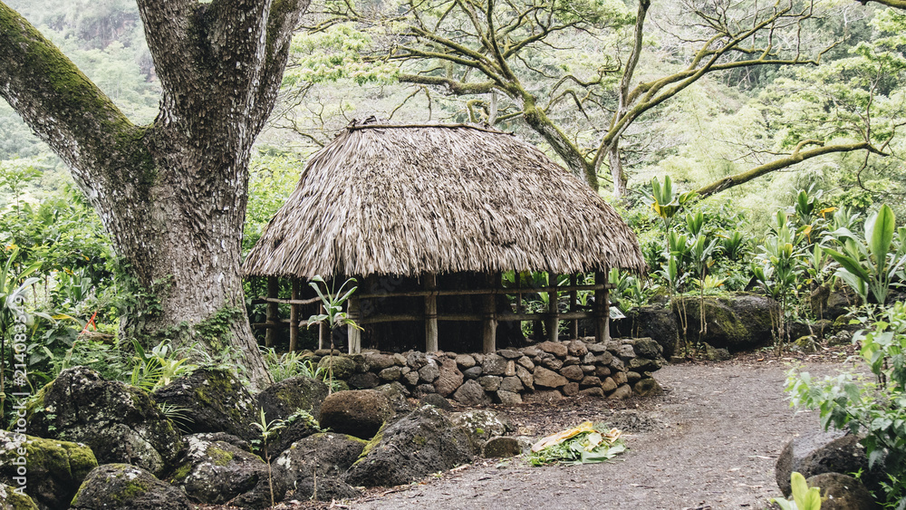 Waimea Falls Waimea Falls