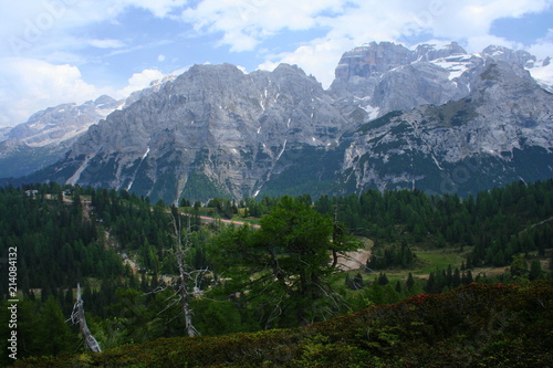 Landscape at hiking trail to Doss del Sabion near Pinzolo in South Tyrol in Italy 
