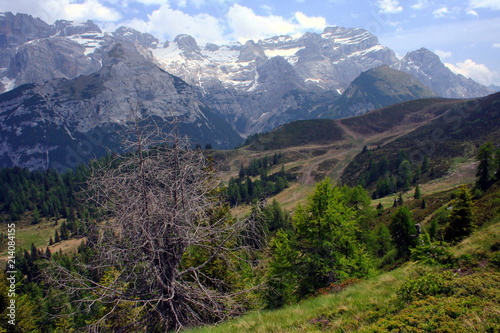 Landscape at hiking trail to Doss del Sabion near Pinzolo in South Tyrol in Italy 