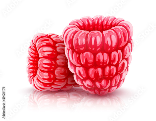 Raspberry berries. Ripe red realistic fruits of raspberries.
