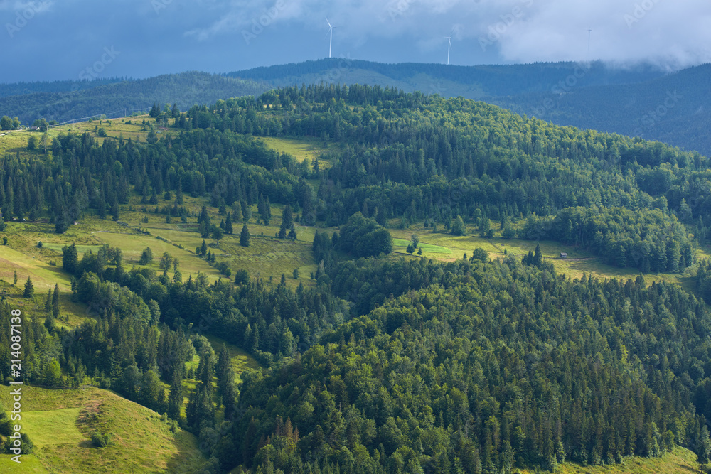 Mountains with forests and village