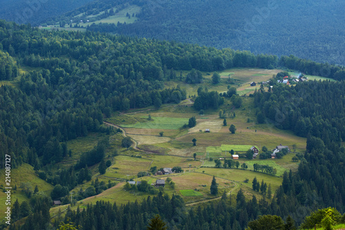 Mountains with forests and village