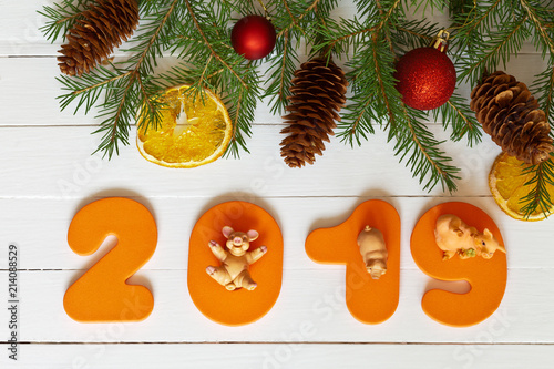 Christmas tree branches and numbers 2019 with toy pigs a symbol of year
