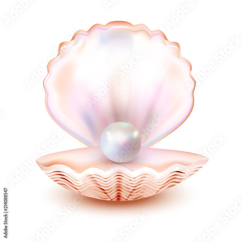 Vászonkép Sea shell realistic icon isolated on white background