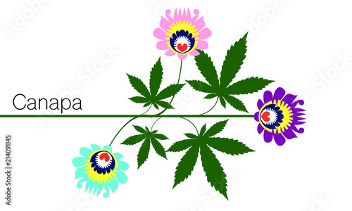 cannabis 1h