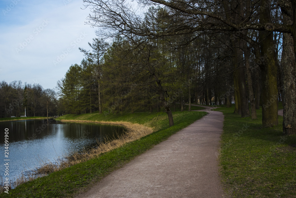 park in winter with forest and river. park in winter with forest and river.