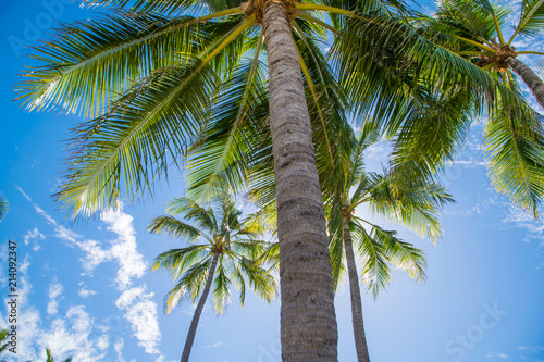 Rose Bay, Bowen (Queensland)